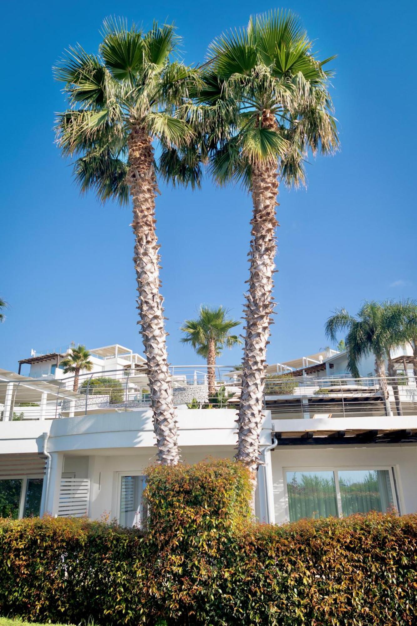 Infinity Resort Tropea Паргелия Экстерьер фото
